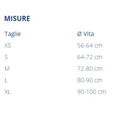 FGP P+ DORSOLLIEVO TUTORE POSTURALE DISPOSITIVO MEDICO CE - immagine 2